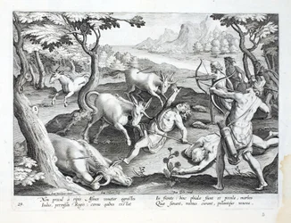 Einhörner am Ufer des Indus, gejagt mit Erlaubnis des Königs, Illustration aus 